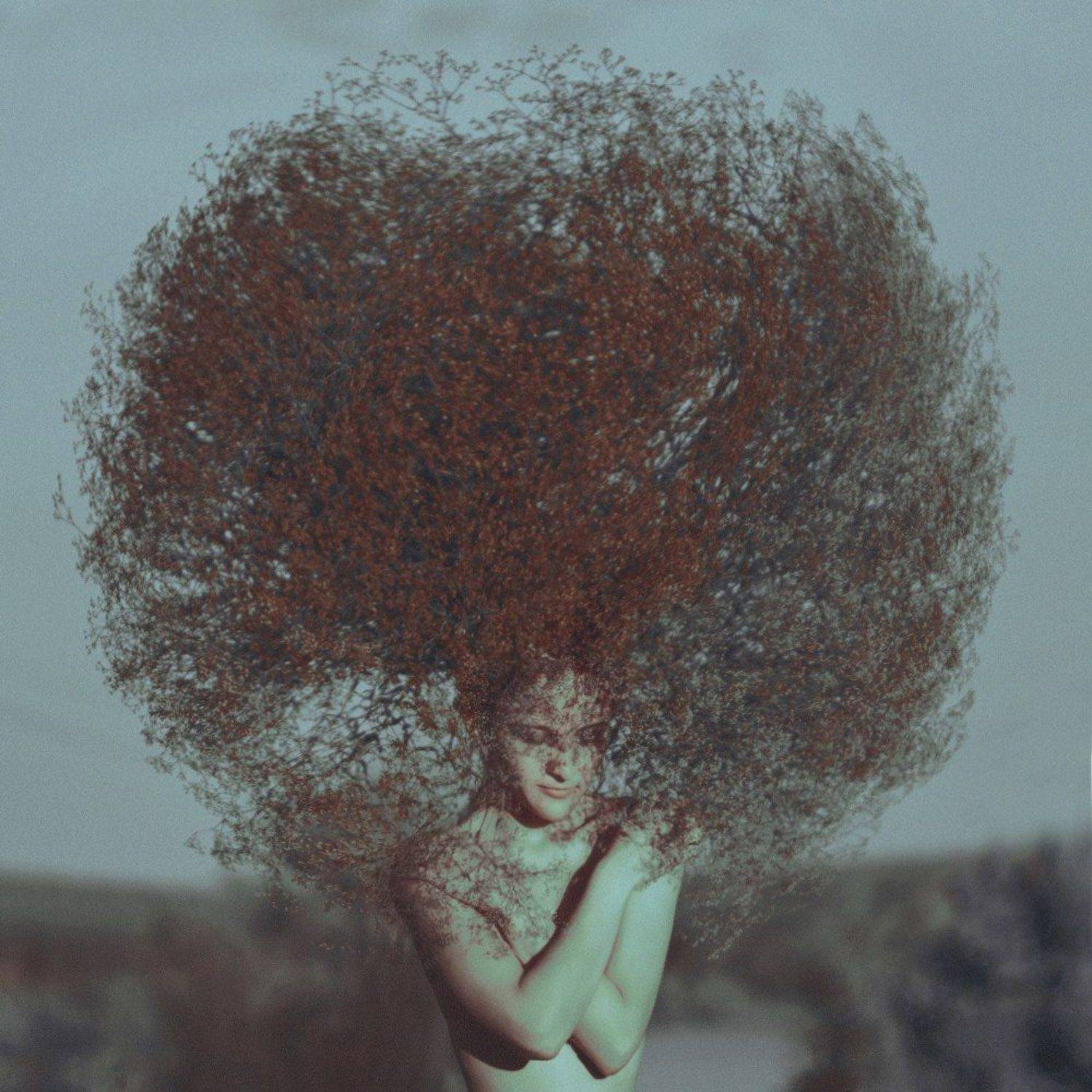 , Меркулов Антон