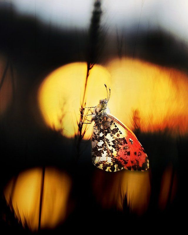 Lonely and peaceful фото превью