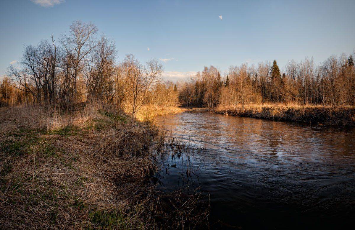 , Хохряков Николай