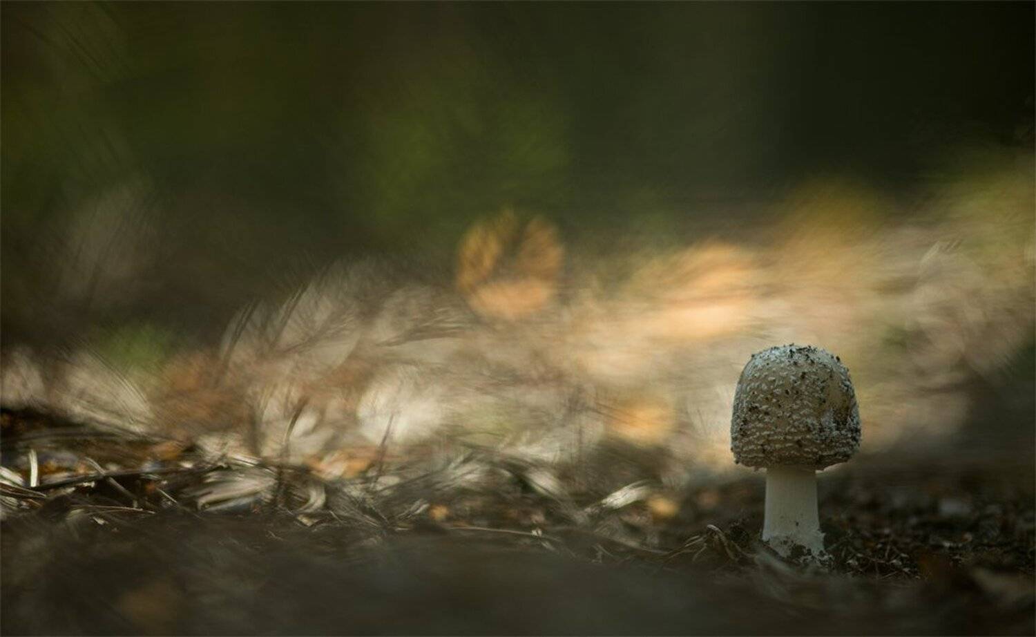 , Геннадий Мещеряков