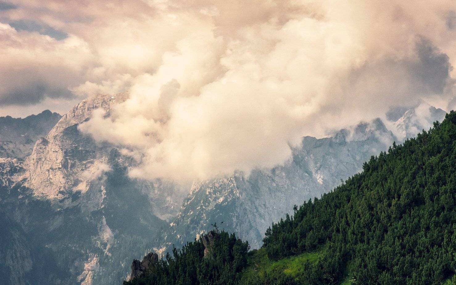 , Игорь Мелекесцев