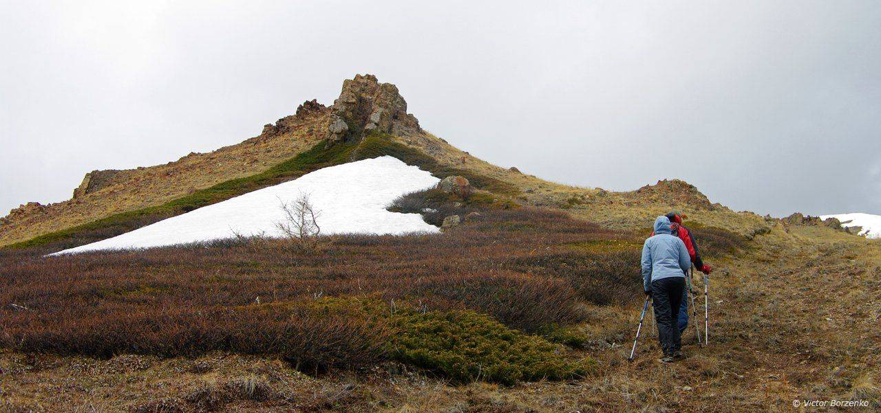 , Виктор Борзенко