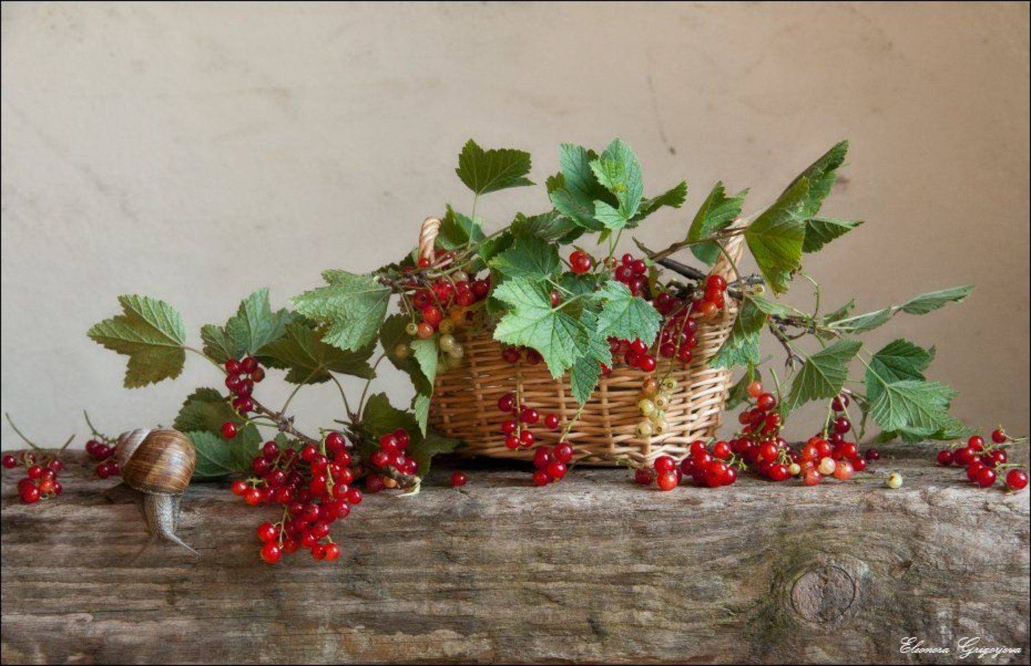 , Eleonora Grigorjeva