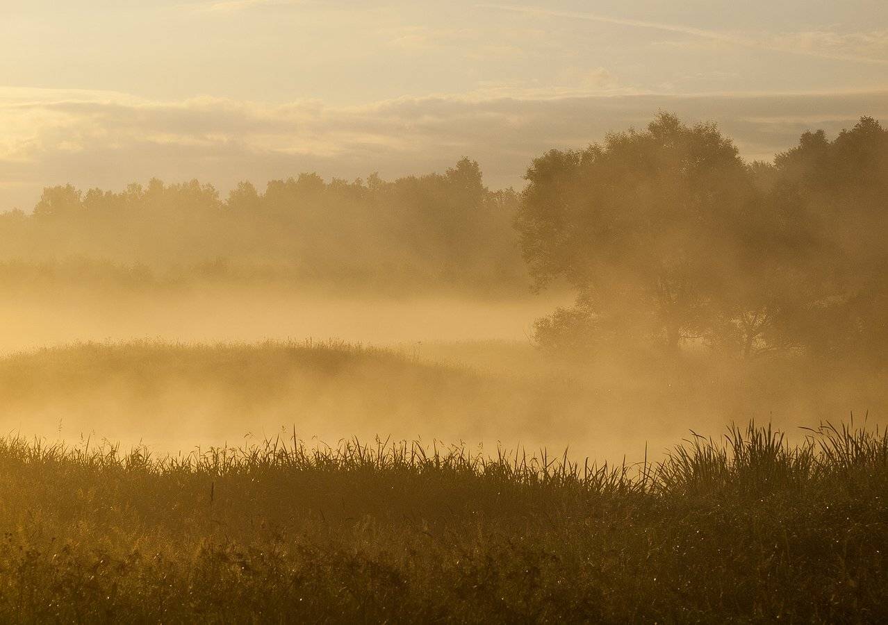 , Владимир Перепечаев