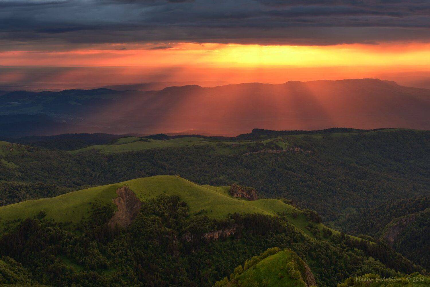 , Максим Евдокимов