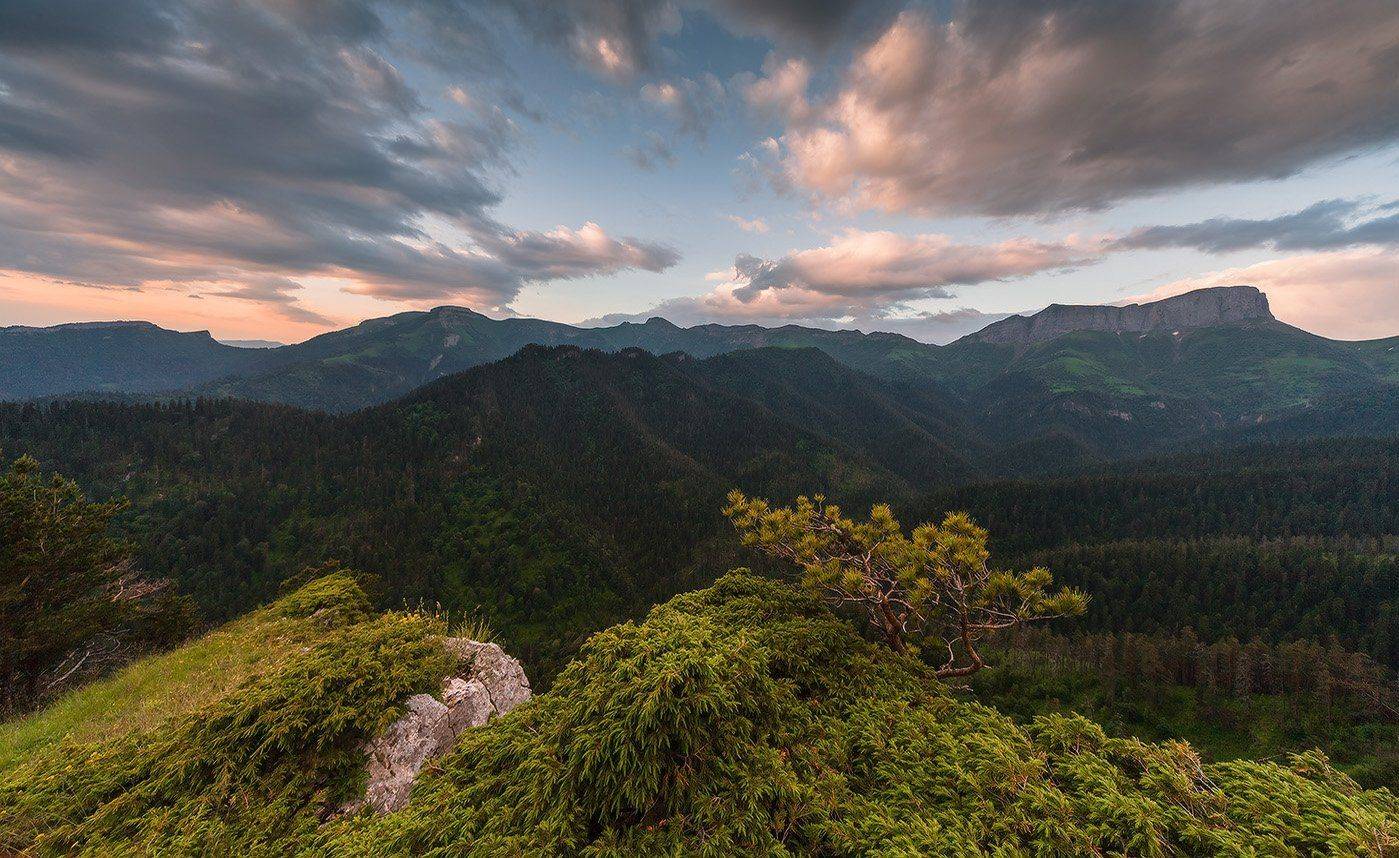 западный, кавказ, долина, ачешбок, лето, июнь, утро, Николай Мысливцев