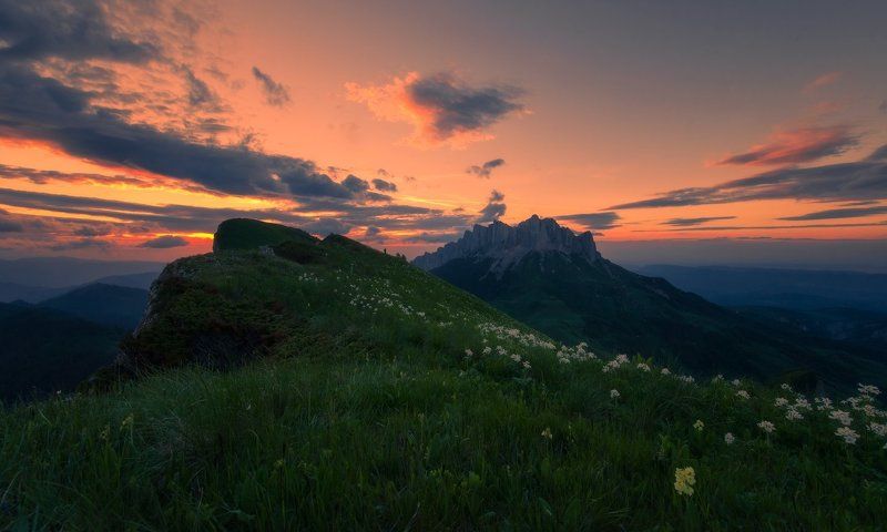Про закат и цветы фото превью
