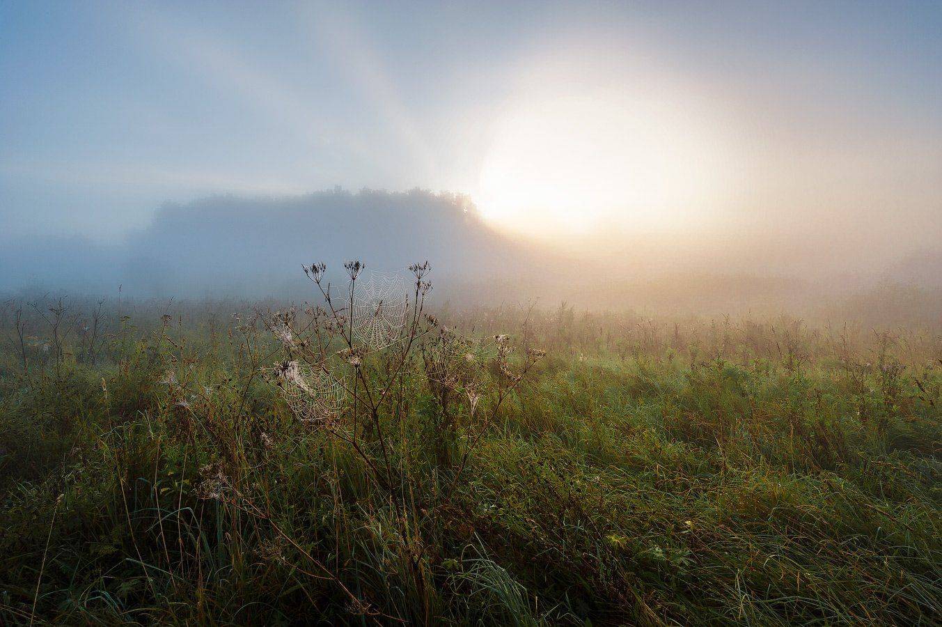, Олег Логунов