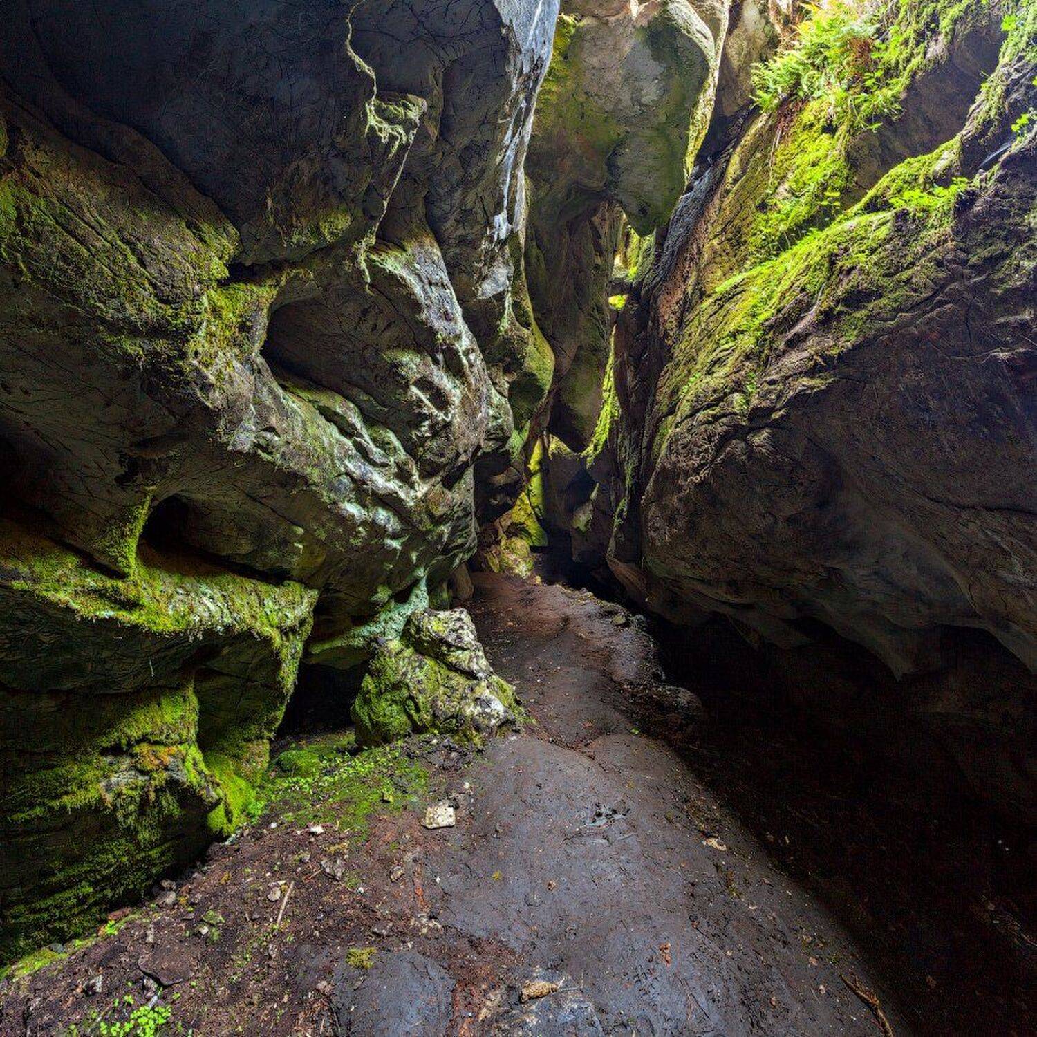 , Данил Ромодин