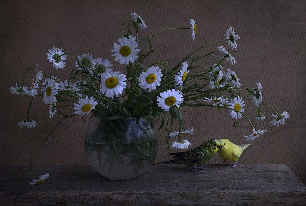 , Петрова Татьяна