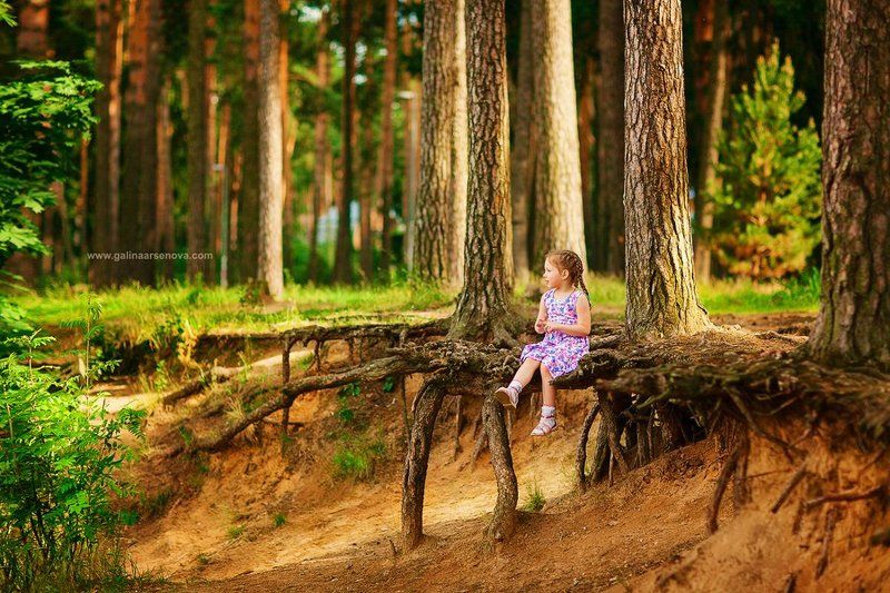 Когда деревья были большими... фото превью
