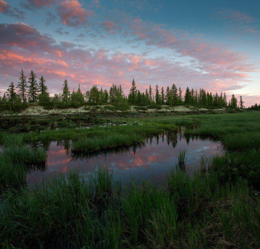 Закат, Лето, Тундра, Уренгой, Ямал, Pavel  Evgrafov