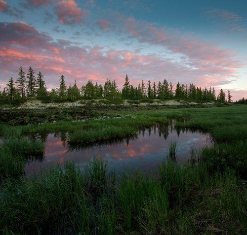 Летний ямальский закат