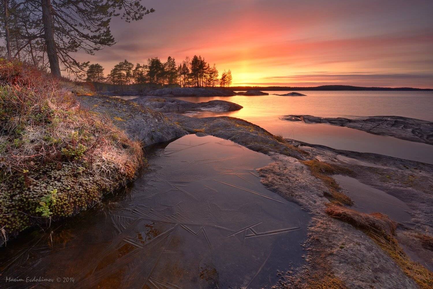 , Максим Евдокимов