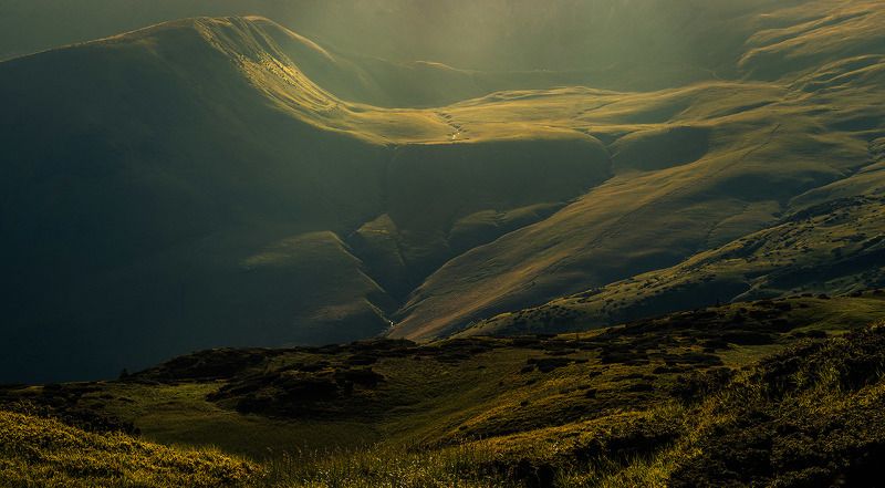 Карпатский Свидовец фото превью