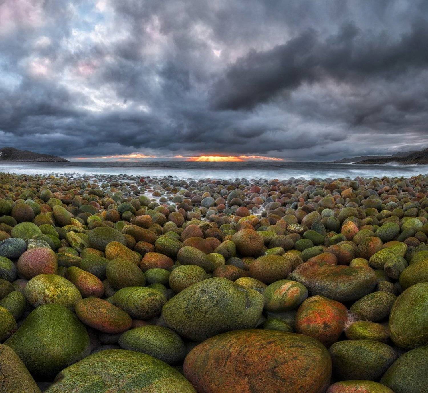 , Андрей Грачев