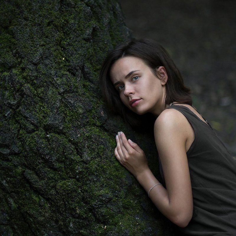 Forest фото превью