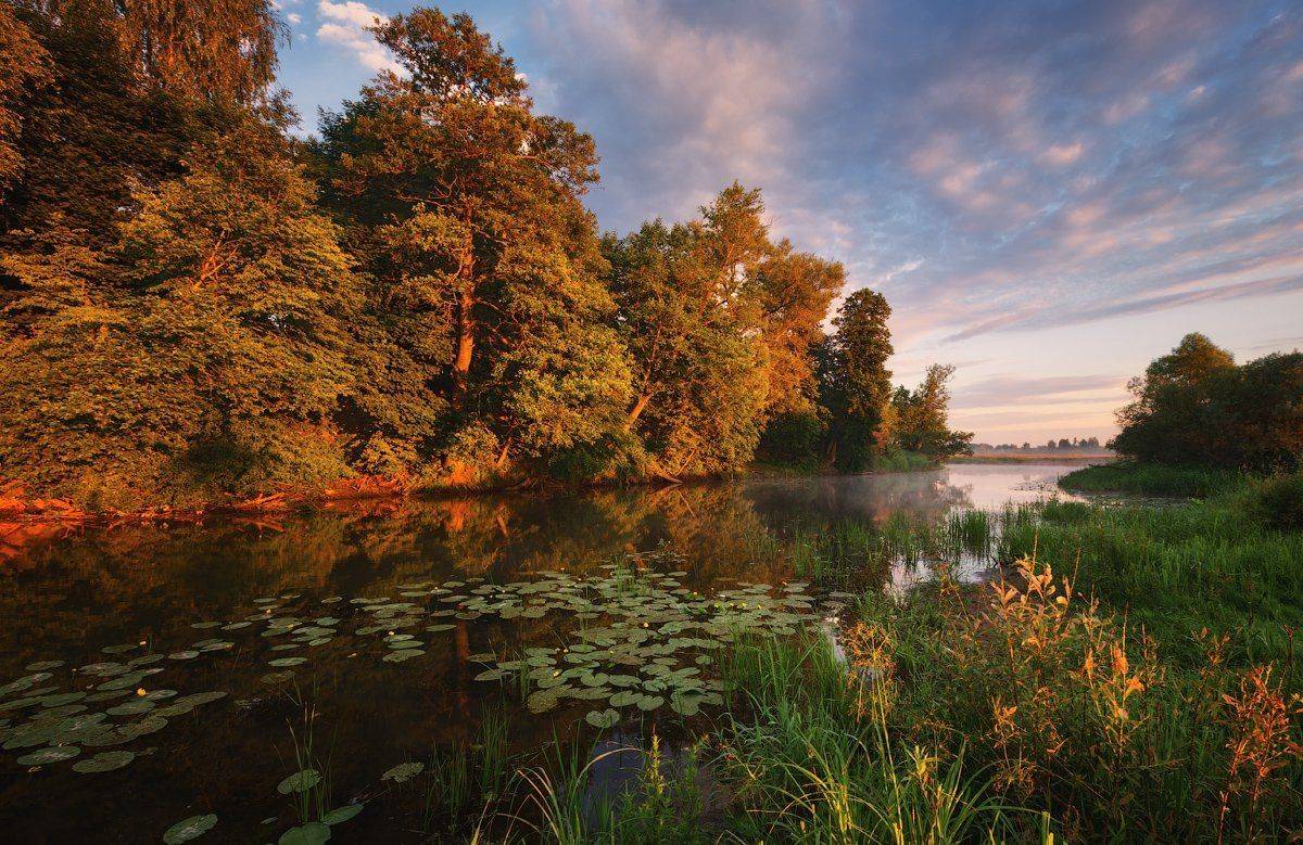 , Денис Сорокин