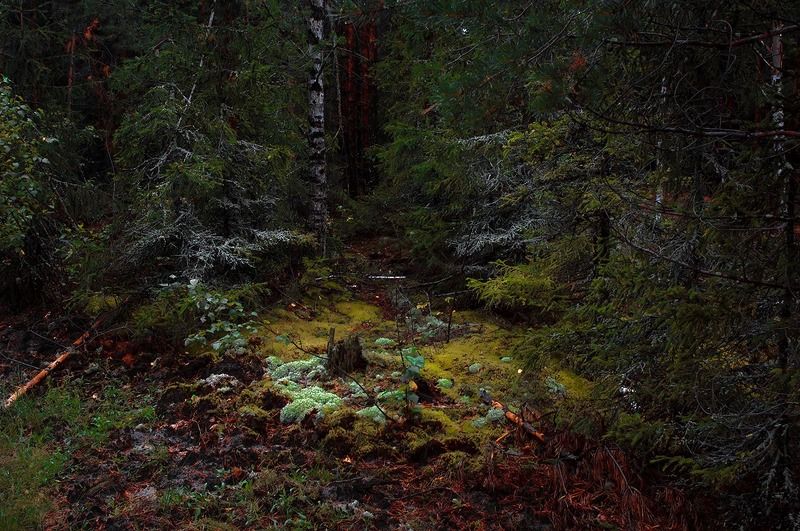 Предки и потомки фото превью