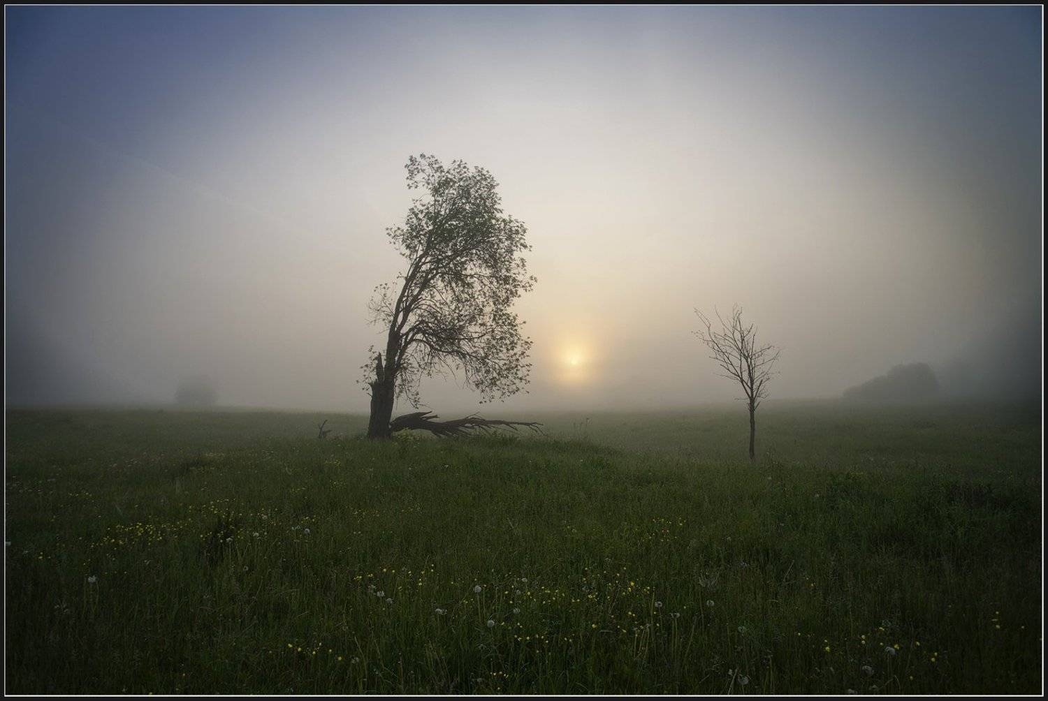 , Олег Дунаев
