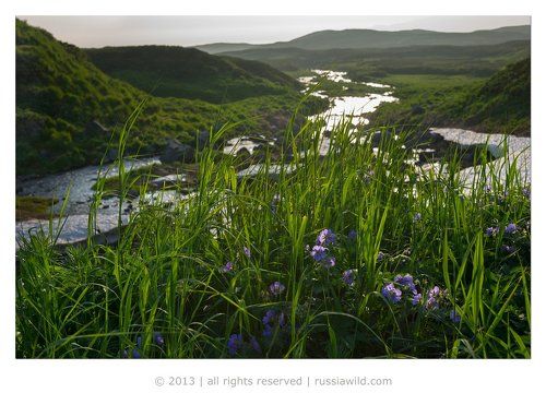 Лето на Камчатке