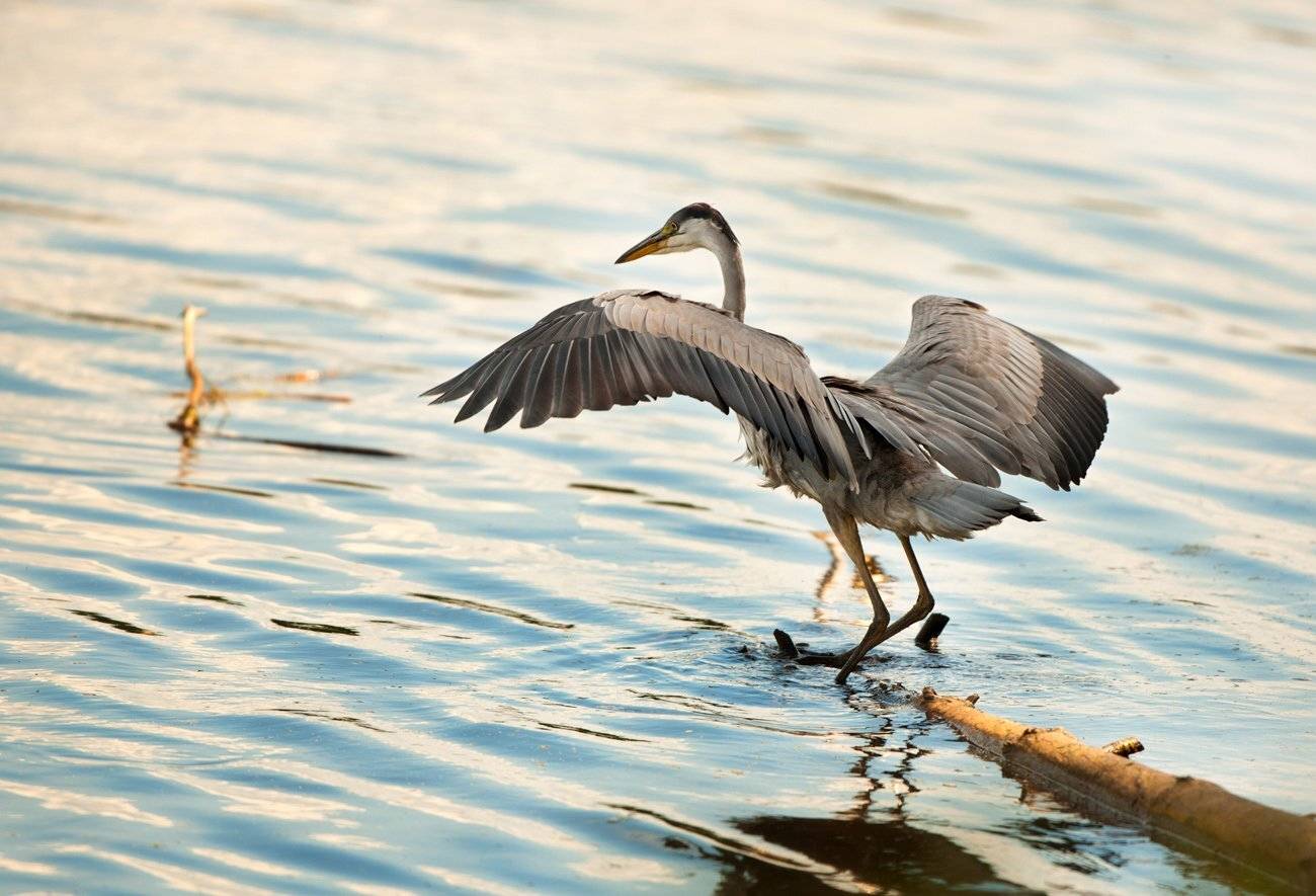 , Юрий Кулаков