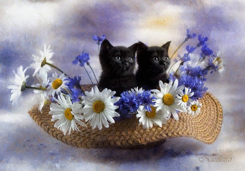 Про детство... фото превью