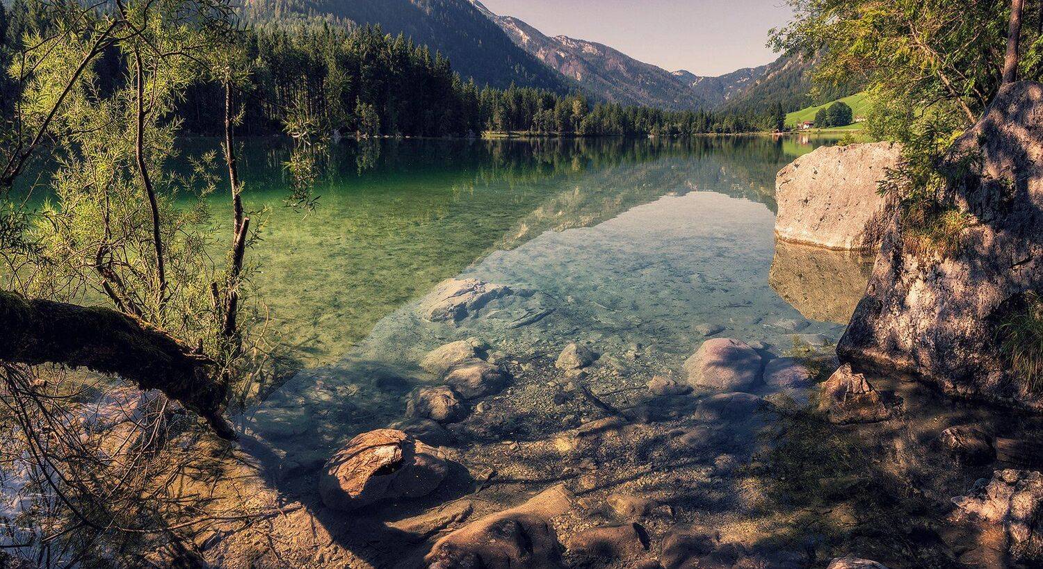 , Игорь Мелекесцев