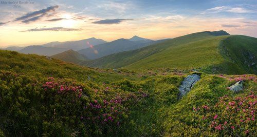 Квіткова Чорногора