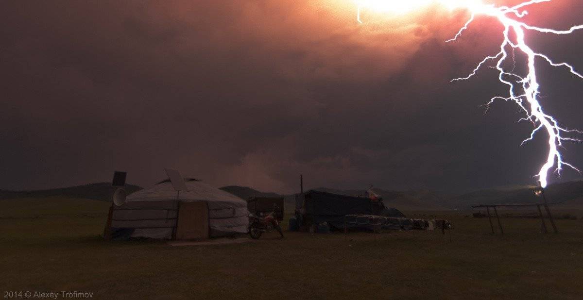 , Алексей Трофимов