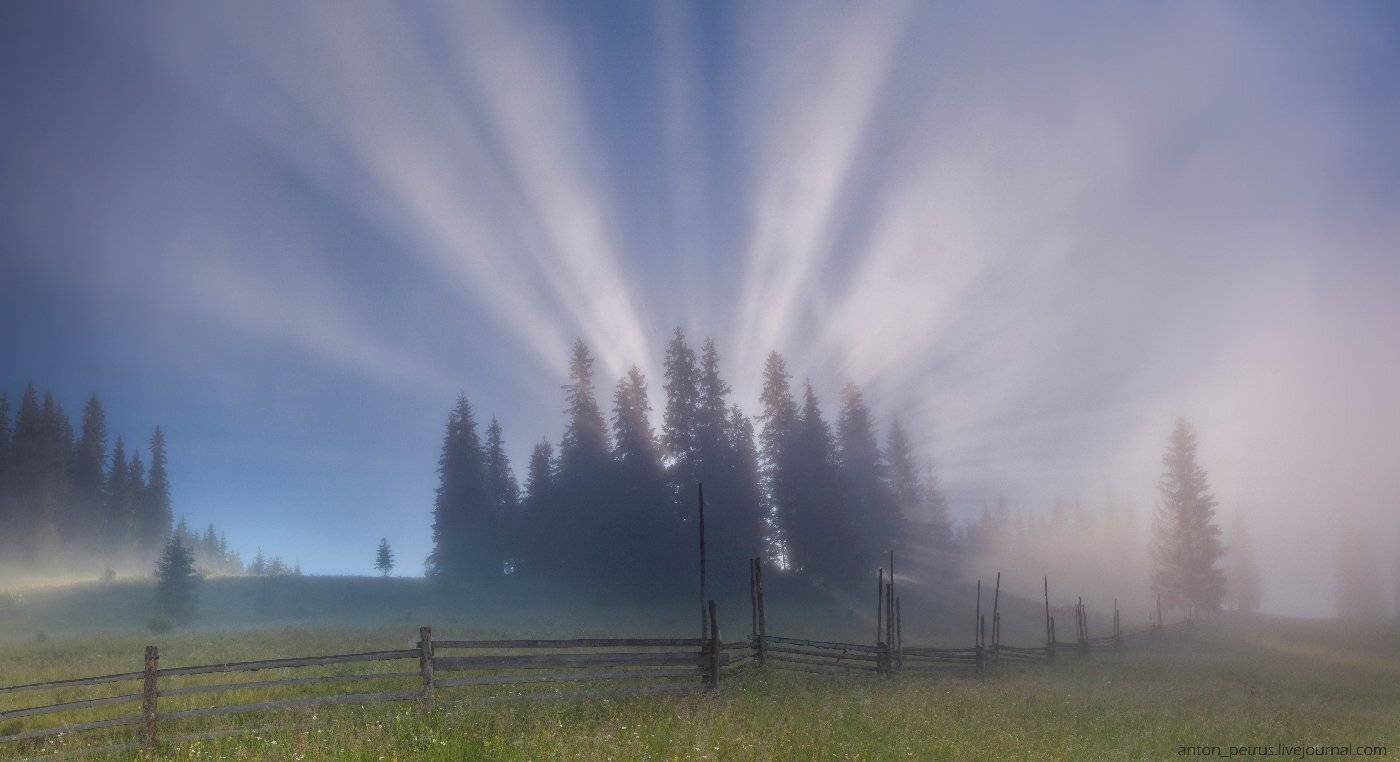 , Антон Петрусь