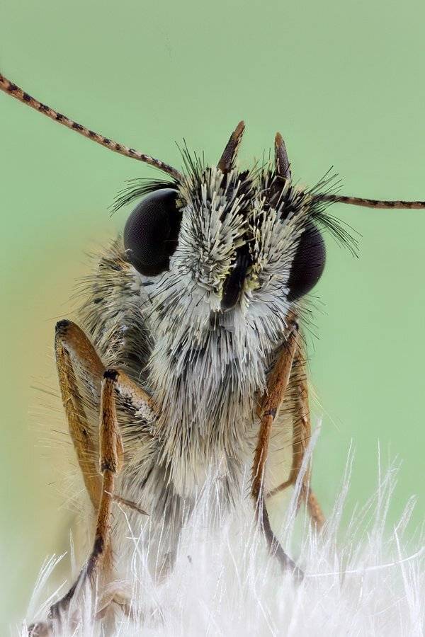 , Сергей Таланов