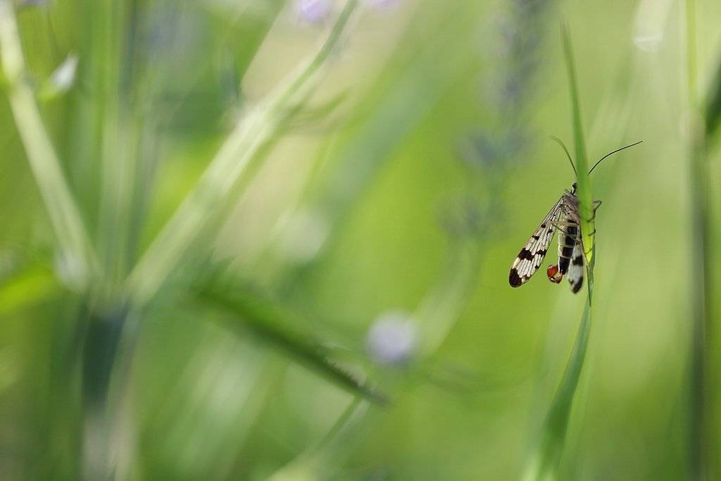 , Сергей Таланов