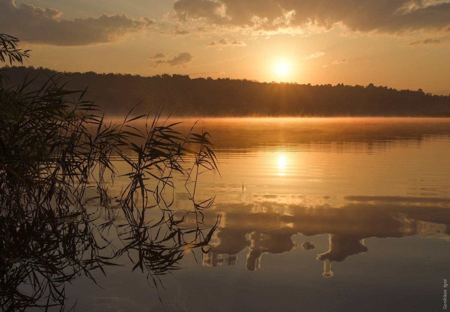 , Горшков Игорь