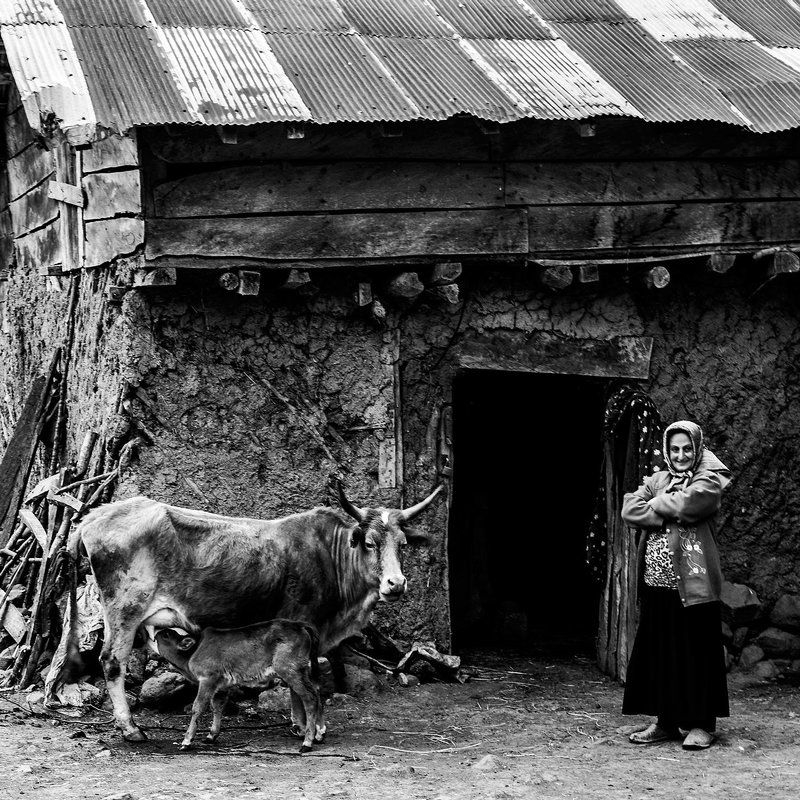 Life фото превью