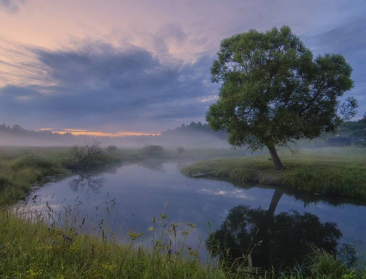 , Марина Брыдня