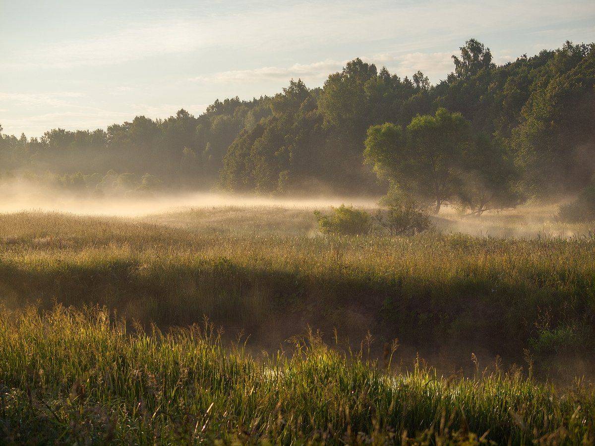 , Владимир Перепечаев