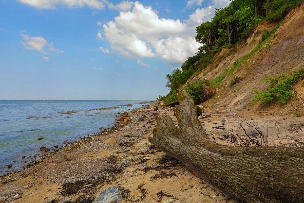 , Игорь Дубровский