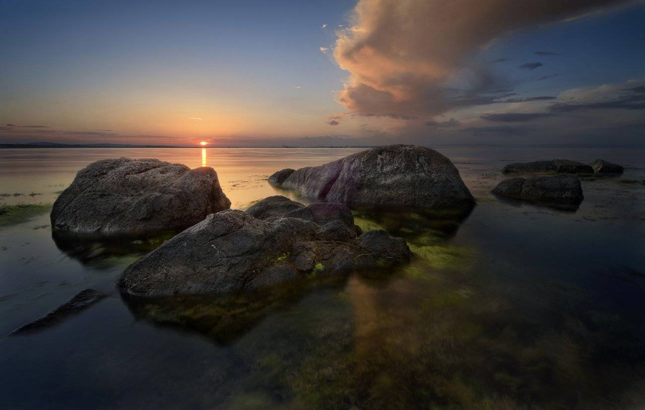 , Румен Паисиев