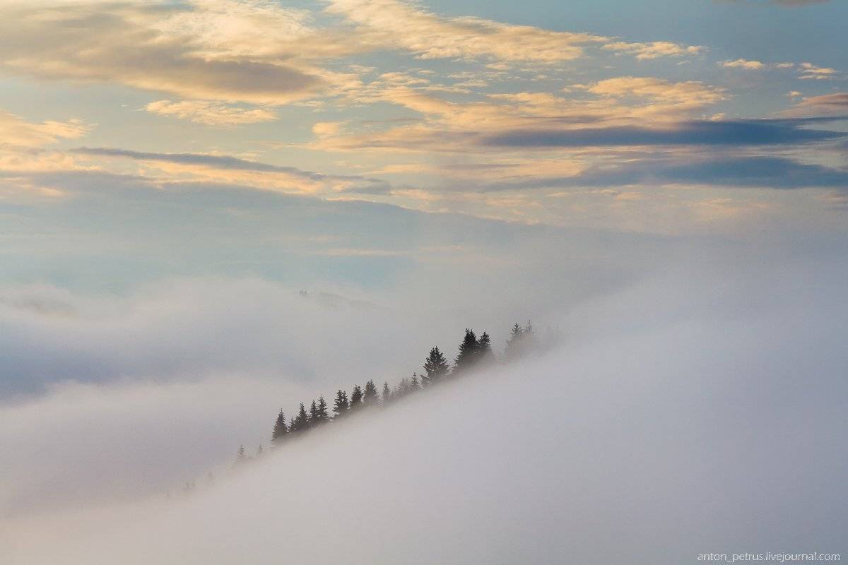 , Антон Петрусь