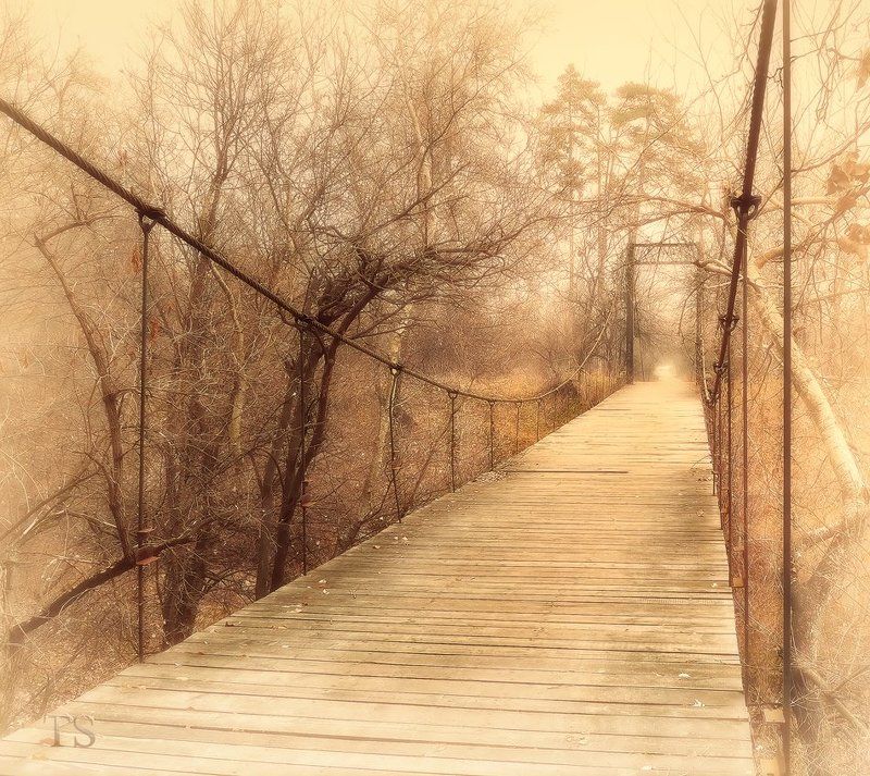 Путь Сердца фото превью