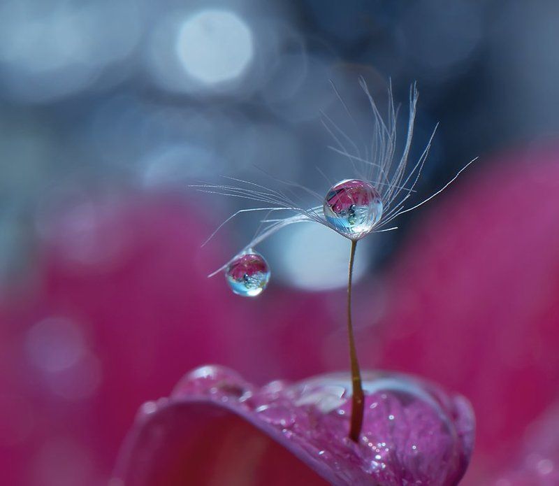 ..o.o.. фото превью