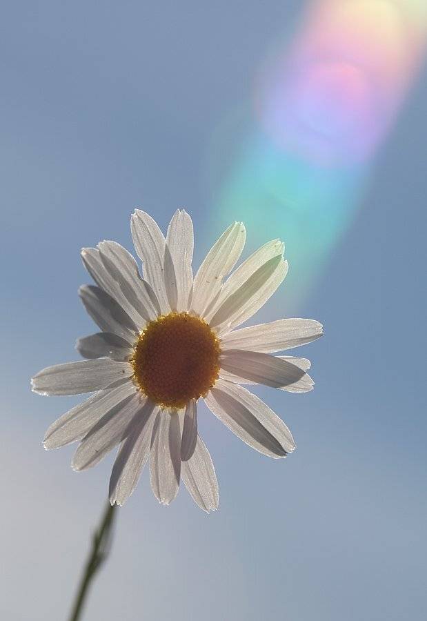 , Сергей Таланов