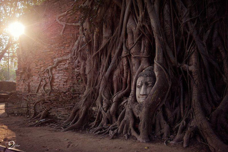 Аютайя фото превью