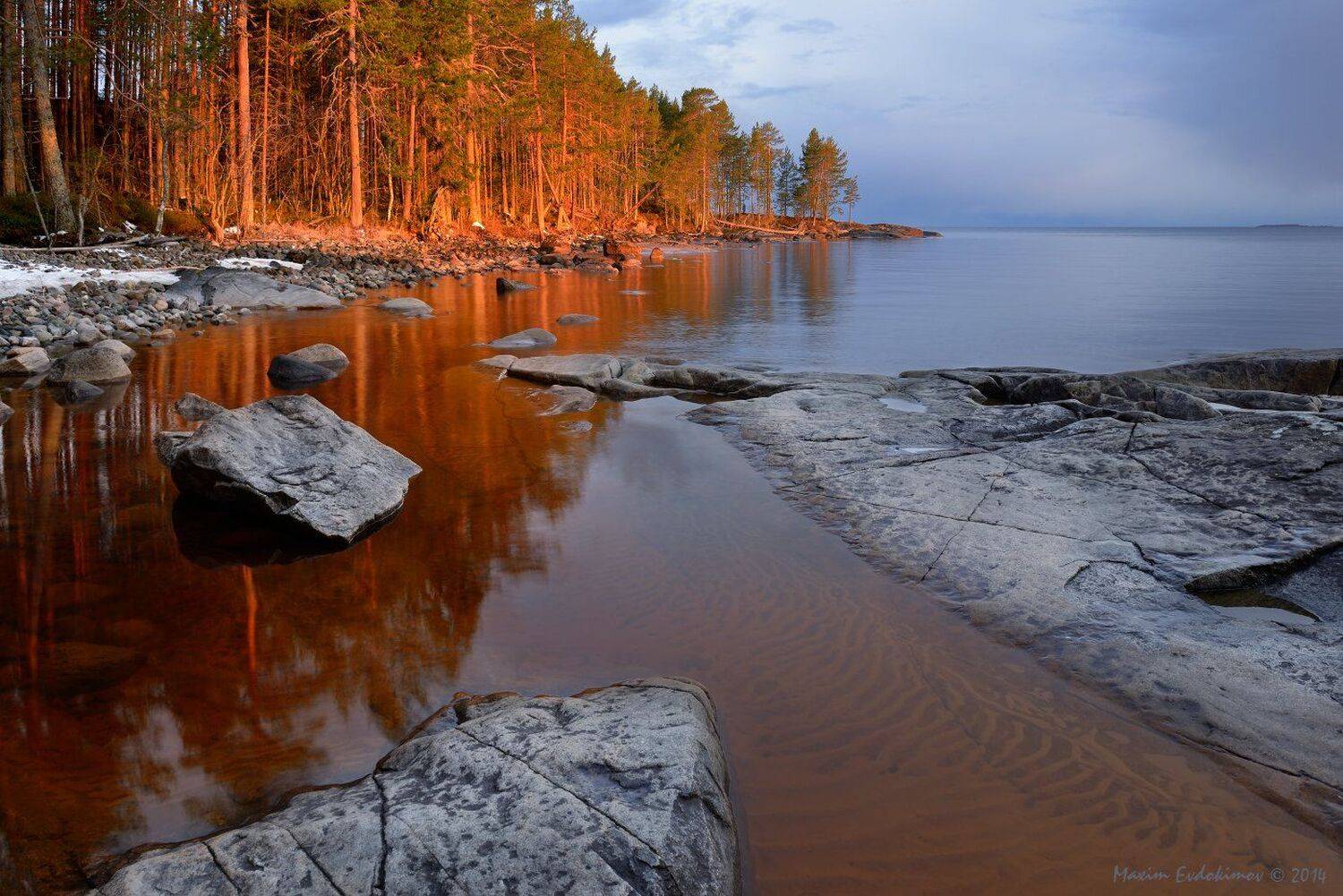 , Максим Евдокимов