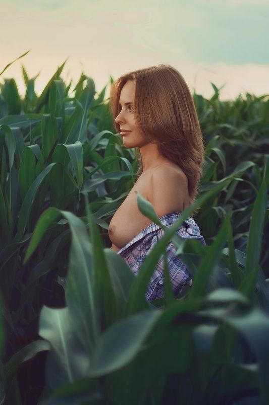 Corn field, Nude, Sunset *** фото превью