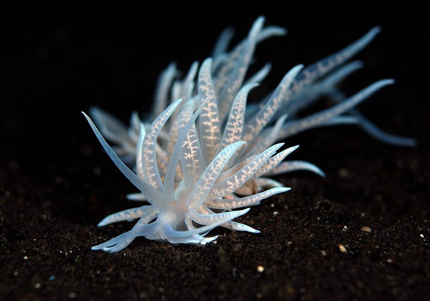 , Юрий Иванов