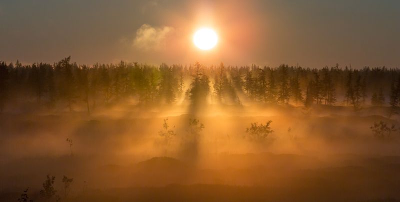 Лето, Рассвет, Солнце, Туман, Утро Про утренний туман фото превью