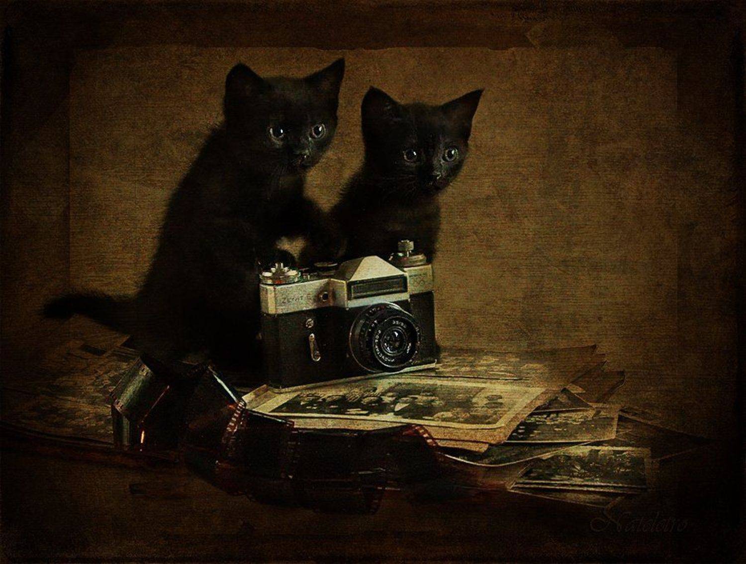 , Наталья Кузнецова (Nateletro)