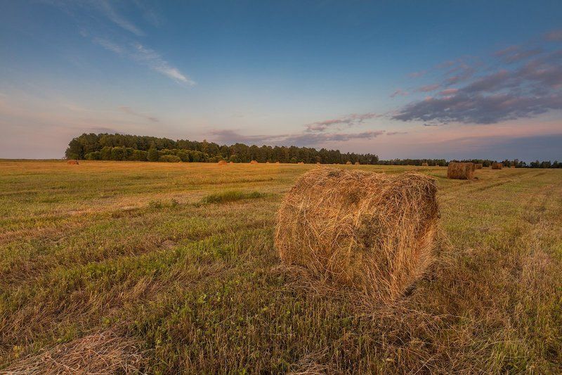 Сенное поле фото превью